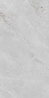 Керамогранит ASTONIA Silver Glossy Silver Line 60x120 от Infiniti (Индия)