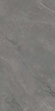 Керамогранит ASTONIA Grey Glossy Golden Line 60x120 от Infiniti (Индия)