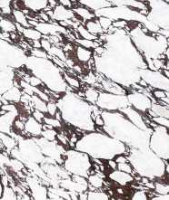 Керамогранит BOOKMATCH CALACATTA VIOLA B POLISHED 160x320x0.6 от Ascale (Испания)