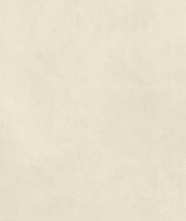 Керамогранит CALCE BIANCO (LAMF009187_IT) (20+) 1620x3240 от Laminam (Италия)