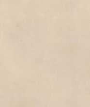 Керамогранит CALCE AVORIO (LAMF006056_IT) (12+) 1620x3240 от Laminam (Италия)