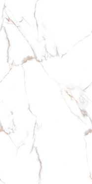 Керамогранит CHRISTY White Glossy Silver Line 60x120 от Infiniti (Индия)