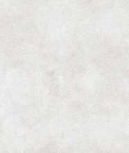 Керамогранит COSERA Bianco Matt 60x120 от Infiniti (Индия)