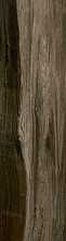 Керамогранит DRIFT Wood Brown Matt 20x120 от ITC (Индия)