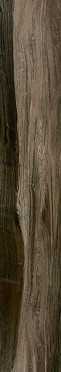 Керамогранит DRIFT Wood Brown Carving 20x120 от ITC (Индия)