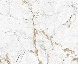 Керамогранит RC 5064 NATURAL END CARVING 60x60 от Lavit Tile (Индия)