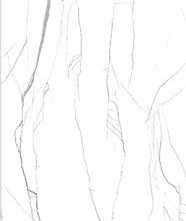 Керамогранит RC 5026 END CARVING 9mm 60x120 от Lavit Tile (Индия)