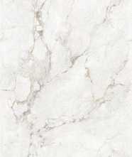 Керамогранит END WONDER NATURAL PUNCH 9mm 60x120 от Lavit Tile (Индия)