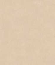 Керамогранит FANGO MATT 9mm 60x120 от Lavit Tile (Индия)