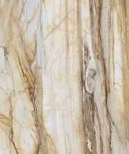 Керамогранит LM FOSSIL ST R E (FBS00MQ041) 100x200 от Roca (Испания)