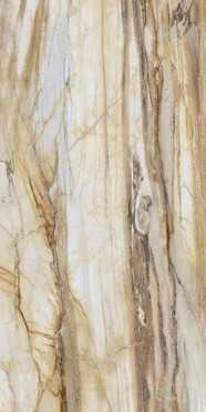 Керамогранит LM FOSSIL MC R (FBS01MQ041) 100x200 от Roca (Испания)