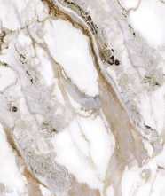 Керамогранит GOLD INK WHITE_G126016G (СП1186) 60x120 от Zibo Fusure (Китай)