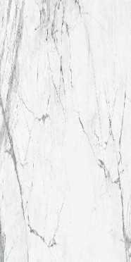 Керамогранит Impire Gray (MN12TD048) 60x120 от Nanogress (Китай)