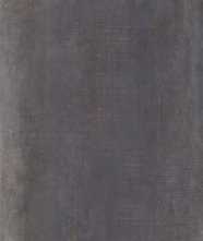 Керамогранит LM IRON MT R (FPG01MQ101) 100x200 от Roca (Испания)