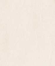 Керамогранит LIME Stone Ivory Porsh 60x120 от Infiniti (Индия)
