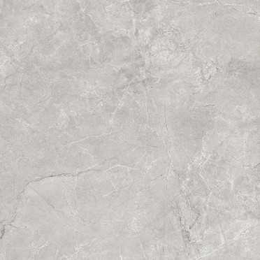 Керамогранит Pluto Silver светло-серый (SG625820R) матовый 60x60 от Laparet