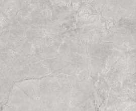 Керамогранит Pluto Silver светло-серый (SG625820R) матовый 60x60 от Laparet