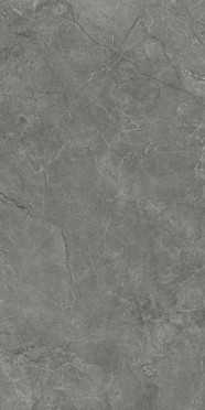 Керамогранит Pluto Grigio серый (SG50005320R) матовый 59.5x119.1 от Laparet