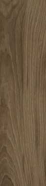 Керамогранит Polo Walnut Ореховый (K952688R0001LPET) 20x80 от Laparet