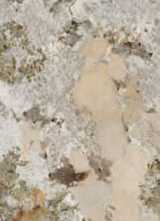 Керамогранит SENSI NUANCE PATAGONIA WOW B LU3 R (PF60014958) 120x280 от ABK Ceramiche (Италия)