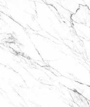Керамогранит LM STATUARIO MC (FPK00MQ011) 100x200 от Roca (Испания)