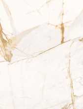 Керамогранит THE WILD SPIRIT CAL.ORO LX RT (0500872) 59.6x119.2 от Roberto Cavalli (Италия)