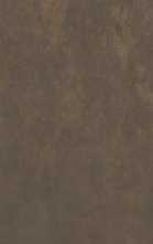 Керамогранит Surface Laboratory/Сити Шайн коричневый обрезной(SG076700R6) 119.5x320 от Kerama Marazzi (Россия)