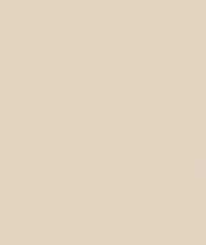 Настенная плитка MONTMARTRE SABLE Rect 60x120 от Baldocer (Испания)