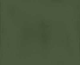 Настенная плитка Root Artis Green 13x13 от Vives Ceramica (Испания)