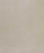 Настенная плитка Color Mood Tortora (fRRA) 80x160 от FAP Ceramiche (Италия)