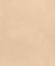 Настенная плитка Color Mood Rosa (fRQ9) 80x160 от FAP Ceramiche (Италия)