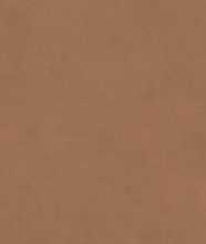 Керамогранит STUCCO TERRACOTA REC 75x150 от TAU Ceramica (Испания)