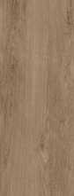 Керамогранит Milton (GFA2090MLT48R) матовый 20x90 от Alma Ceramica (Россия)
