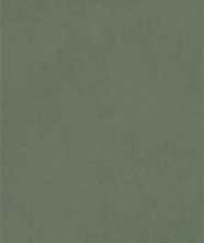 Керамогранит Moderno Stucco Verde Matt 60x120x0.9 от Art&Natura Ceramic (Индия)
