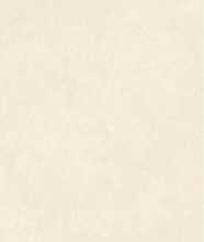 Керамогранит Moderno Stucco Crema Matt 60x120x0.9 от Art&Natura Ceramic (Индия)