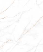 Керамогранит Neo Calacatta (GFU60120NCL04R) матовый 60x120x0.85 от Alma Ceramica (Россия)