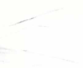 Керамогранит Muse E-3030/M 60x60x0.9 от Dako (Россия)
