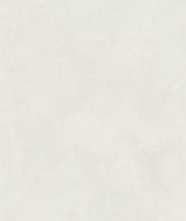 Керамограни Moderno Beton White Sand coloured body 60x120x0.9 от Art&Natura Ceramic (Индия)