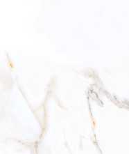 Керамогранит Regal Carara Polished (PR203) 60x120 от Primavera (Индия)