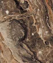 Керамогранит Richter brown High glossy (GR204) 60x120 от Primavera (Индия)