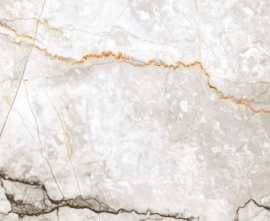 Керамогранит Tanami Pearl Carving (CR121) 60x60 от Primavera (Индия)