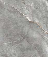 Керамогранит Vezin Grey Polished (PR237) 60x120 от Primavera (Индия)