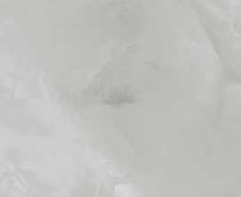 Керамогранит Vilema Grey Polished (PR145) 60x60 от Primavera (Индия)