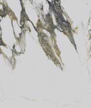 Керамогранит Fantasy Mix polished (PR219) 60x120 от Primavera (Индия)