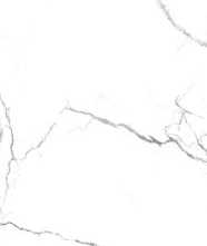 Керамогранит Acothly Polished (PR234) 60x120 от Primavera (Индия)