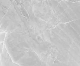 Керамогранит Almond Light Grey Polished (PR152) 60x60 60x60 от Primavera (Индия)