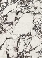Керамогранит Medicela Marble Pol. Rect. 120x278 от APE Ceramica (Испания)