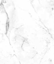 Керамогранит Marble Smooth Carrara Blanco 60x120 от Gres de Aragon (Испания)