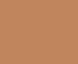 Керамогранит ITALIAN LANDSCAPE TERRACOTTA (IL20TER) 20.5x20.5 от Fioranese Ceramica (Италия)