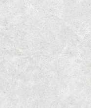 Керамогранит MONOCHROM White (K-2060/MR) 60x120 от Kerranova (Россия)